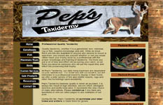 website design, website designer, wisconsin, tomah, lavalle, holmen, lacrosse, small business, affordable