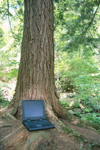 Are people seeing your website? Let us help you.