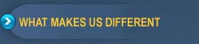 What Makes Us Different